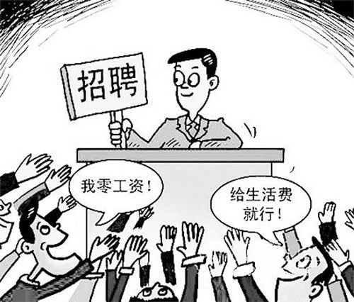 大学生找工作 求职 学历 技能